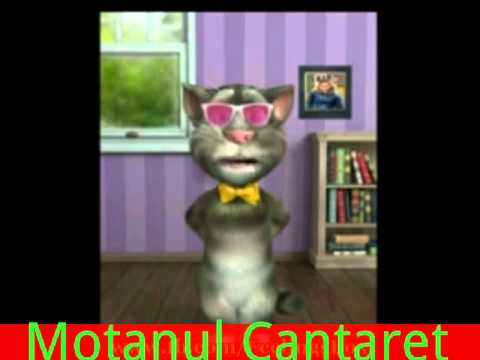 cu tine as fugi in lume rachi tachi tarara cu tine as fugi in lume rachi tachi tarara